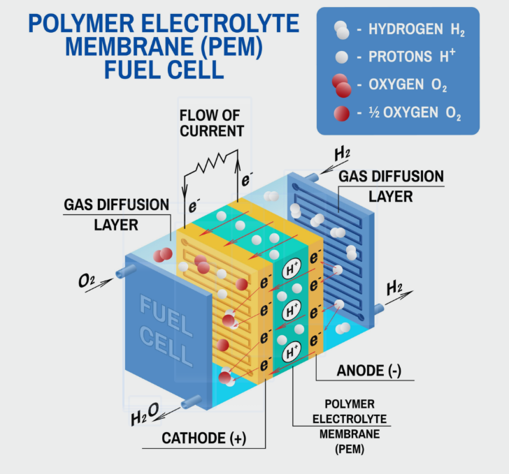 Automating Maritime Decarbonization: Megawatt Hydrogen Fuel Cells