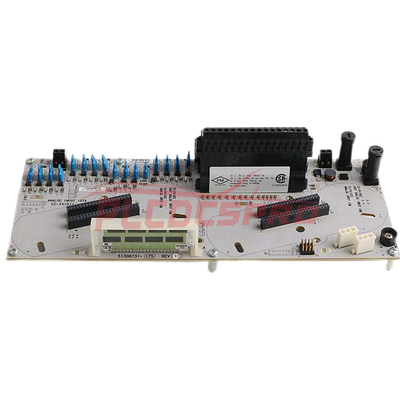 CC-TAID11 | Honeywell | AI IOTA Червен – 16 Канален Диференциален