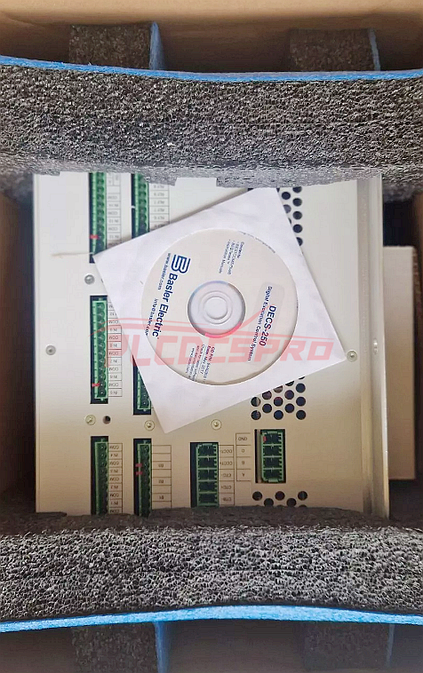 DECS-250-LN2SN1N | BASLER DECS 250 Цифровая система управления возбуждением