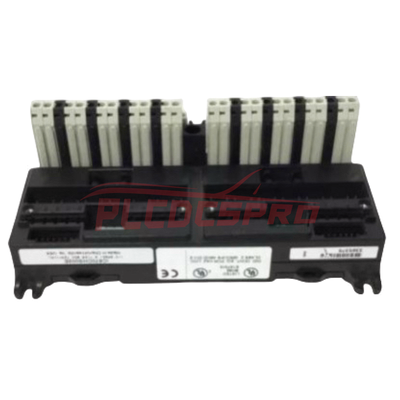 IC670CHS002 | GE Fanuc | Khối đầu cuối I/O