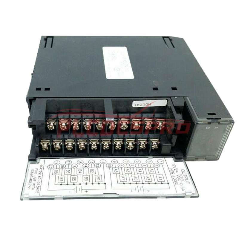IC693MDL241 | GE Fanuc | Module d’entrée TOR