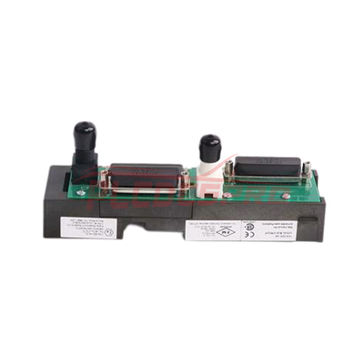 Emerson Delta V KJ4001X1-NA1 Двоен десен удължител