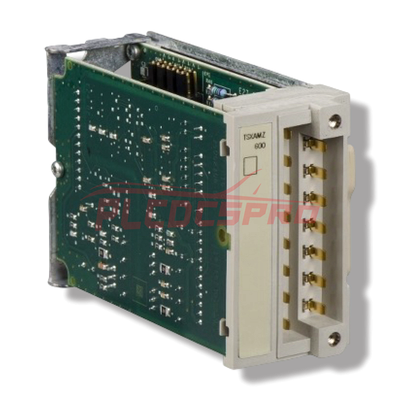 TSXAMZ600 | Schneider Modicon | Analoq Giriş/Çıxış Modulu