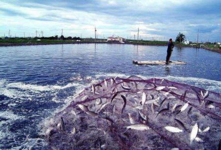 Introduction to SIMATIC PLC in Aquaculture Automation