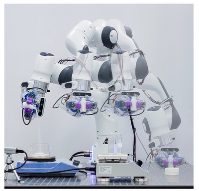 Adaptive Robotic Framework for Chemistry Lab Automation: Accelerating Material Discovery