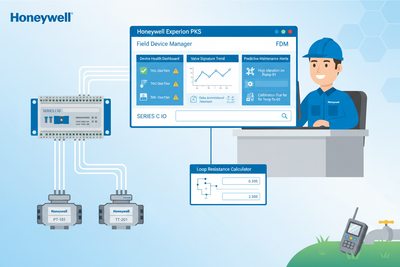 Emerson Ovation Epro: FOUNDATION Fieldbus Configuration and Device Management