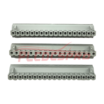 Khối đầu cuối vít Schneider Modicon 170XTS00100