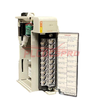 Allen Bradley AB 1769-IF16C CompactLogix 16 Nokta A/G Akım Modülü