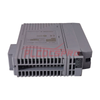 AAI835 | Yokogawa Analoq Giriş/Çıxış Modulları AAI835-H50