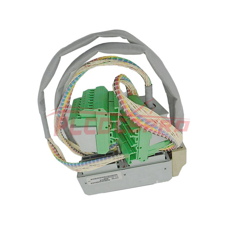 Foxboro | DM500SG | Termination Cable Assembly