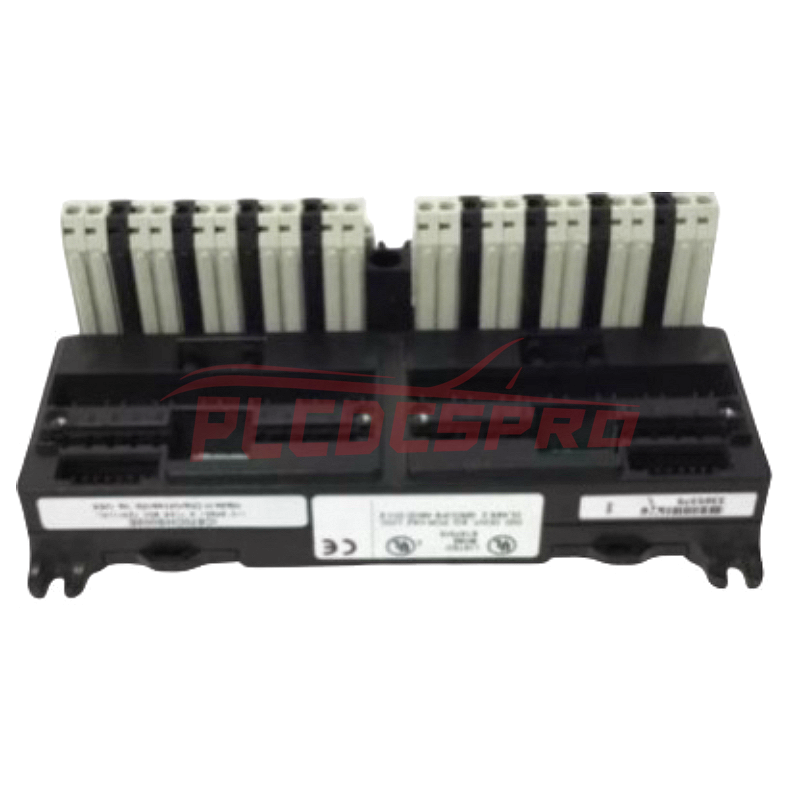 IC670CHS002 | GE Fanuc | Giriş/Çıxış Terminal Bloku