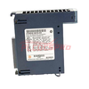 IC695ALG616 | GE Fanuc | RX3i 16 SE/8 Айырмашылық Канал Аналогтық Кіріс Модулі