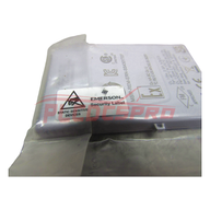 Modulo Charm di ingresso digitale isolato Emerson DeltaV KL3005X1-LS1